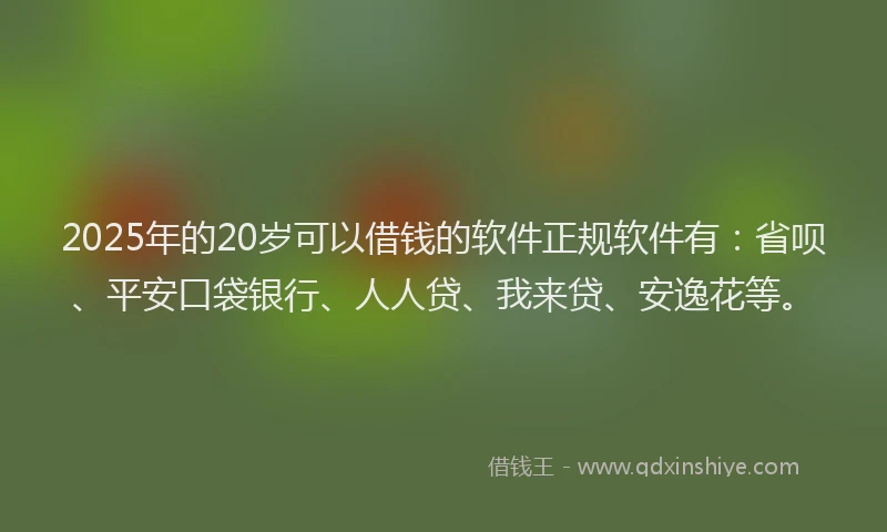 2025年的20岁可以借钱的软件正规软件有：省呗、平安口袋银行、人人贷、我来贷、安逸花等。
