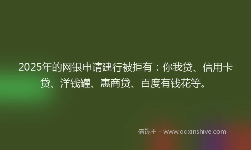 2025年的网银申请建行被拒有：你我贷、信用卡贷、洋钱罐、惠商贷、百度有钱花等。
