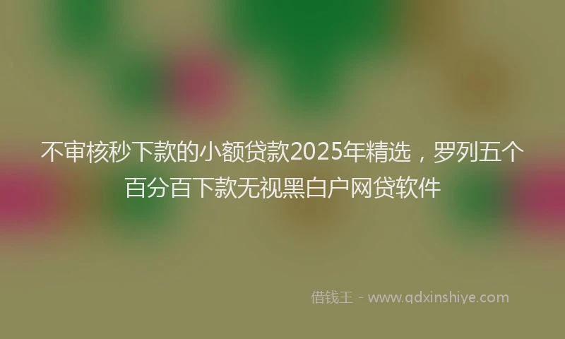 不审核秒下款的小额贷款2025年精选，罗列五个百分百下款无视黑白户网贷软件
