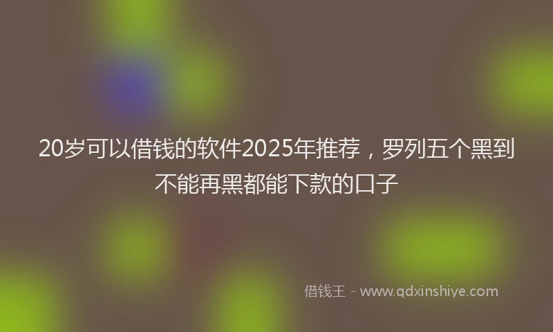 20岁可以借钱的软件2025年推荐，罗列五个黑到不能再黑都能下款的口子