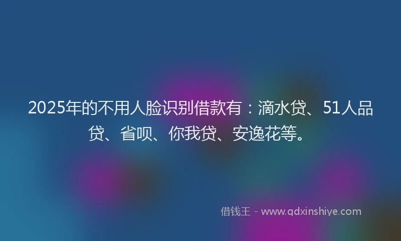 2025年的不用人脸识别借款有：滴水贷、51人品贷、省呗、你我贷、安逸花等。