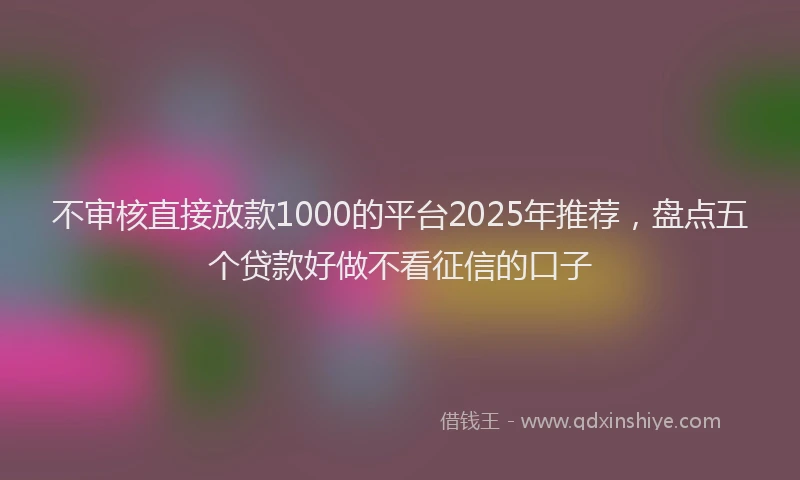 不审核直接放款1000的平台2025年推荐，盘点五个贷款好做不看征信的口子