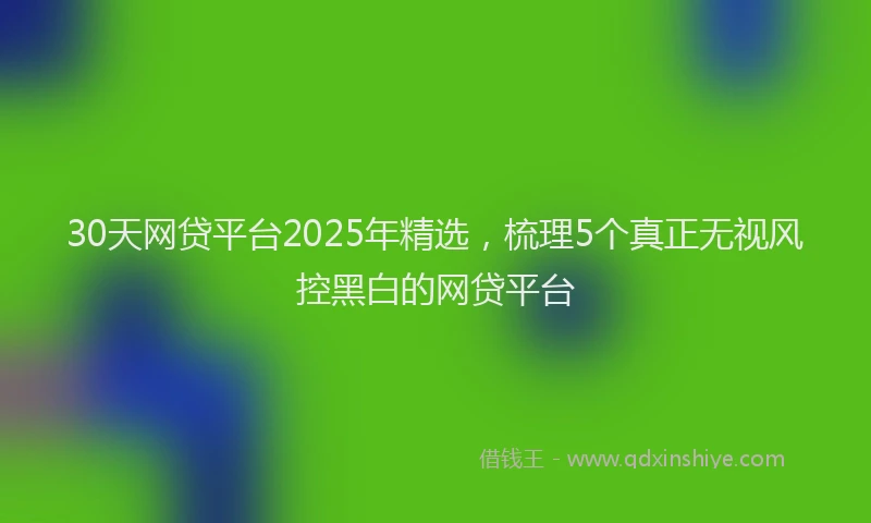 30天网贷平台2025年精选，梳理5个真正无视风控黑白的网贷平台