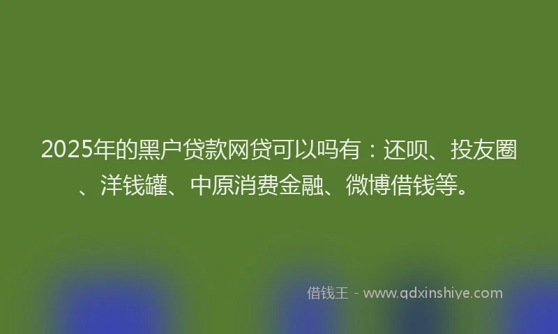 2025年的黑户贷款网贷可以吗有：还呗、投友圈、洋钱罐、中原消费金融、微博借钱等。