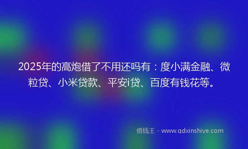 2025年的高炮借了不用还吗有：度小满金融、微粒贷、小米贷款、平安i贷、百度有钱花等。
