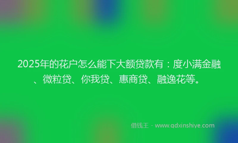 2025年的花户怎么能下大额贷款有：度小满金融、微粒贷、你我贷、惠商贷、融逸花等。