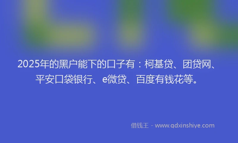 2025年的黑户能下的口子有：柯基贷、团贷网、平安口袋银行、e微贷、百度有钱花等。