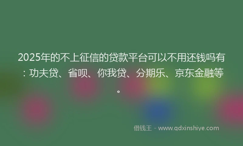 2025年的不上征信的贷款平台可以不用还钱吗有：功夫贷、省呗、你我贷、分期乐、京东金融等。
