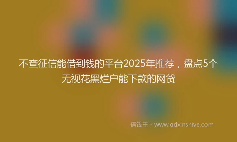不查征信能借到钱的平台2025年推荐，盘点5个无视花黑烂户能下款的网贷