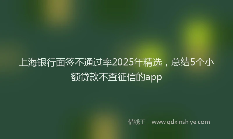 上海银行面签不通过率2025年精选，总结5个小额贷款不查征信的app