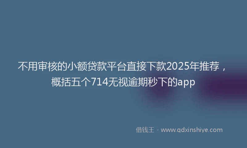 不用审核的小额贷款平台直接下款2025年推荐，概括五个714无视逾期秒下的app