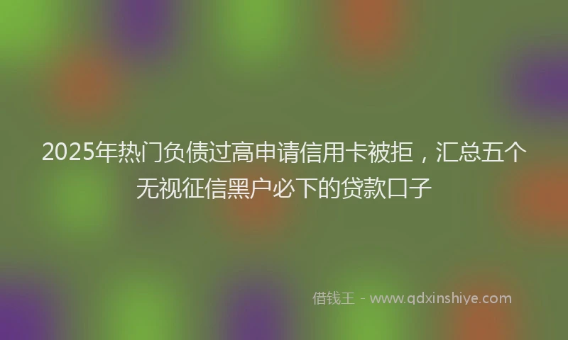 2025年热门负债过高申请信用卡被拒，汇总五个无视征信黑户必下的贷款口子