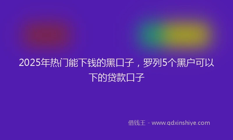 2025年热门能下钱的黑口子，罗列5个黑户可以下的贷款口子