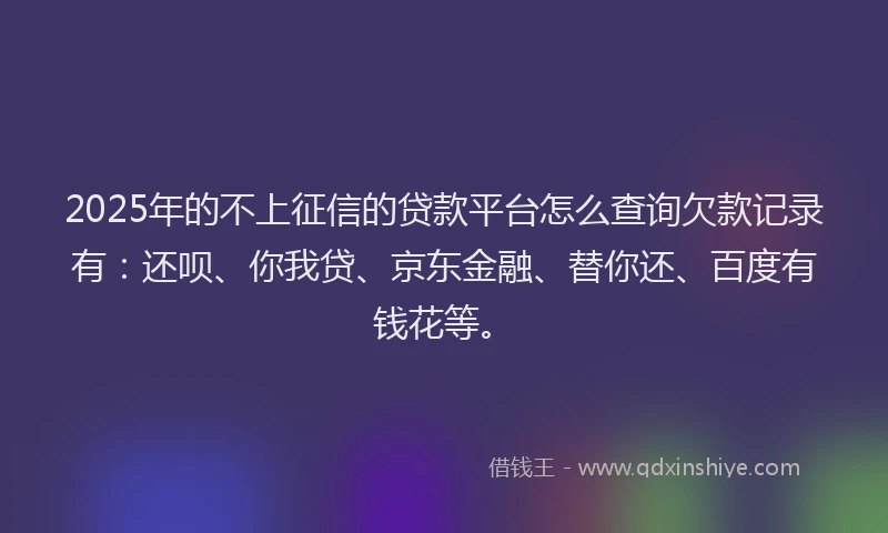 2025年的不上征信的贷款平台怎么查询欠款记录有：还呗、你我贷、京东金融、替你还、百度有钱花等。