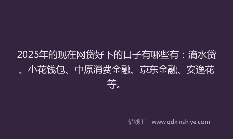 2025年的现在网贷好下的口子有哪些有：滴水贷、小花钱包、中原消费金融、京东金融、安逸花等。