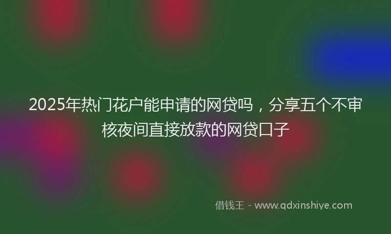 2025年热门花户能申请的网贷吗，分享五个不审核夜间直接放款的网贷口子