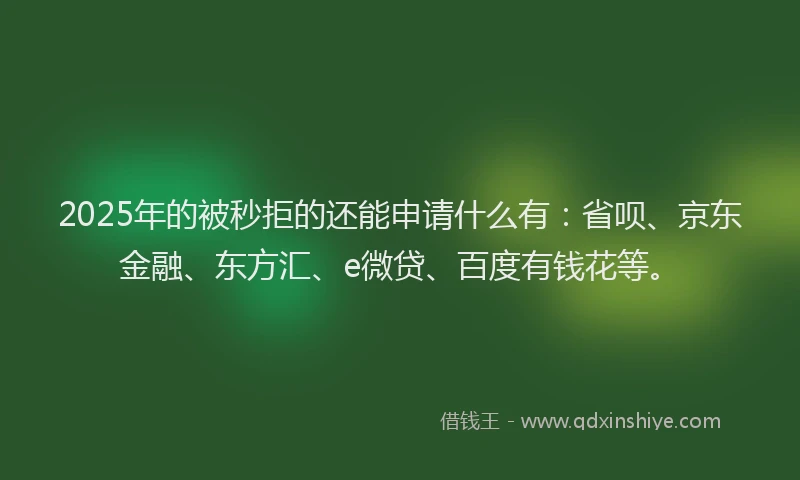2025年的被秒拒的还能申请什么有：省呗、京东金融、东方汇、e微贷、百度有钱花等。