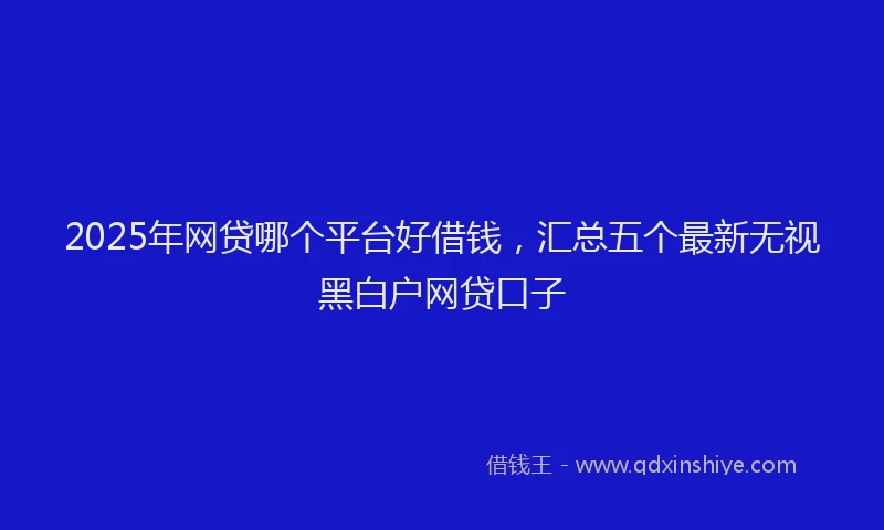 2025年网贷哪个平台好借钱，汇总五个最新无视黑白户网贷口子