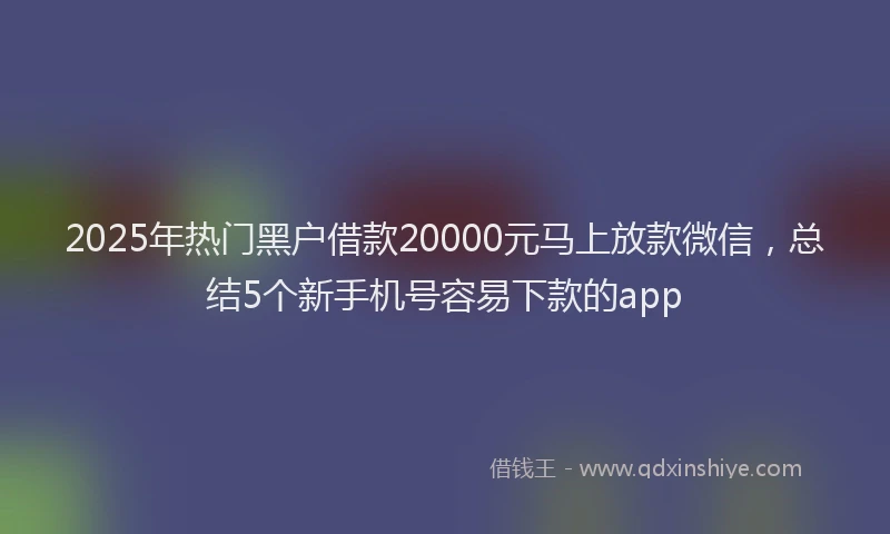 2025年热门黑户借款20000元马上放款微信，总结5个新手机号容易下款的app