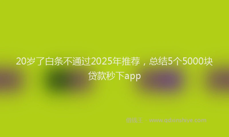 20岁了白条不通过2025年推荐，总结5个5000块贷款秒下app