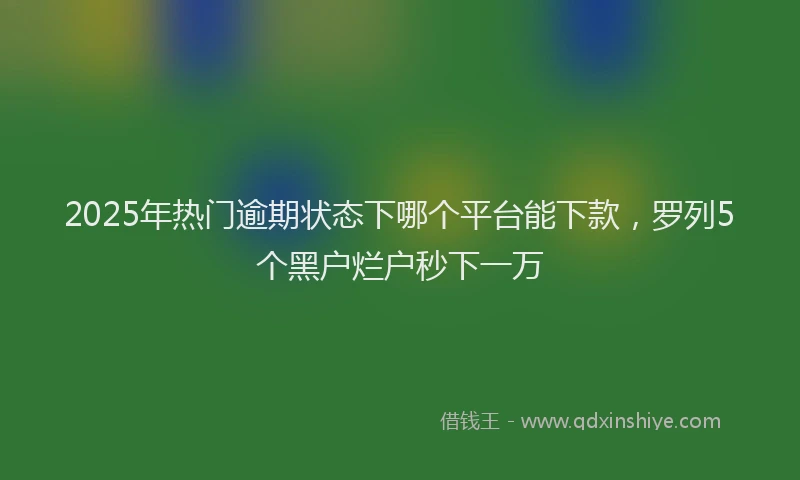 2025年热门逾期状态下哪个平台能下款，罗列5个黑户烂户秒下一万