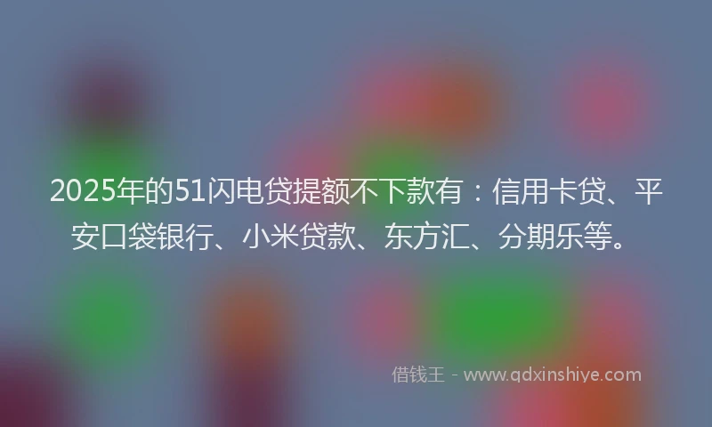2025年的51闪电贷提额不下款有：信用卡贷、平安口袋银行、小米贷款、东方汇、分期乐等。