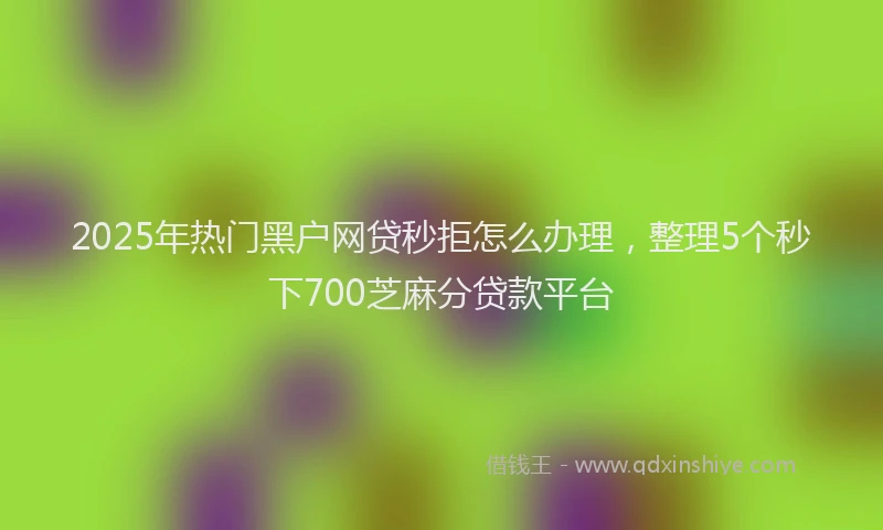 2025年热门黑户网贷秒拒怎么办理，整理5个秒下700芝麻分贷款平台