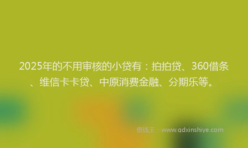 2025年的不用审核的小贷有：拍拍贷、360借条、维信卡卡贷、中原消费金融、分期乐等。