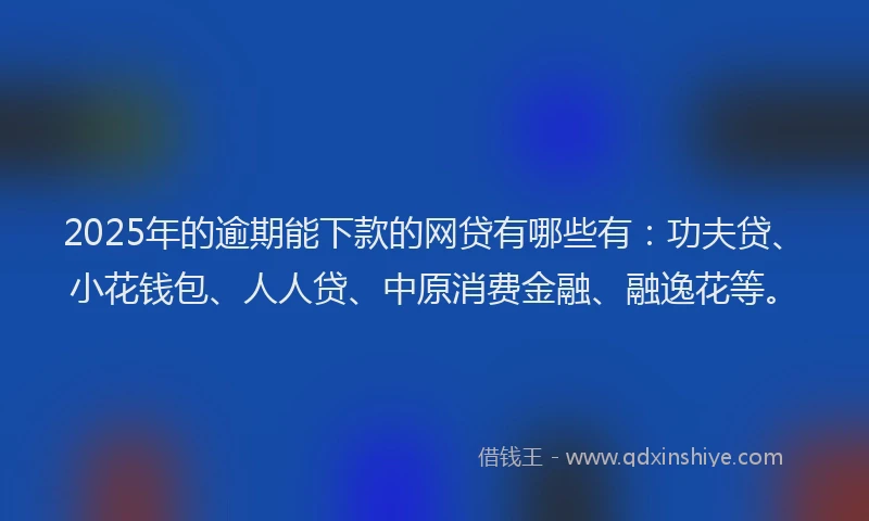 2025年的逾期能下款的网贷有哪些有：功夫贷、小花钱包、人人贷、中原消费金融、融逸花等。