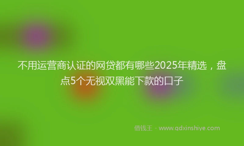 不用运营商认证的网贷都有哪些2025年精选，盘点5个无视双黑能下款的口子