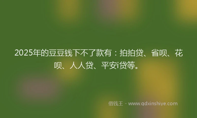 2025年的豆豆钱下不了款有：拍拍贷、省呗、花呗、人人贷、平安i贷等。