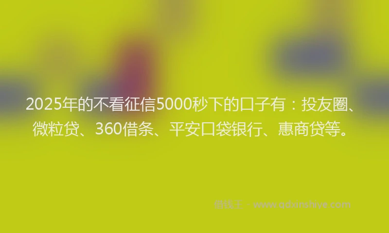 2025年的不看征信5000秒下的口子有：投友圈、微粒贷、360借条、平安口袋银行、惠商贷等。