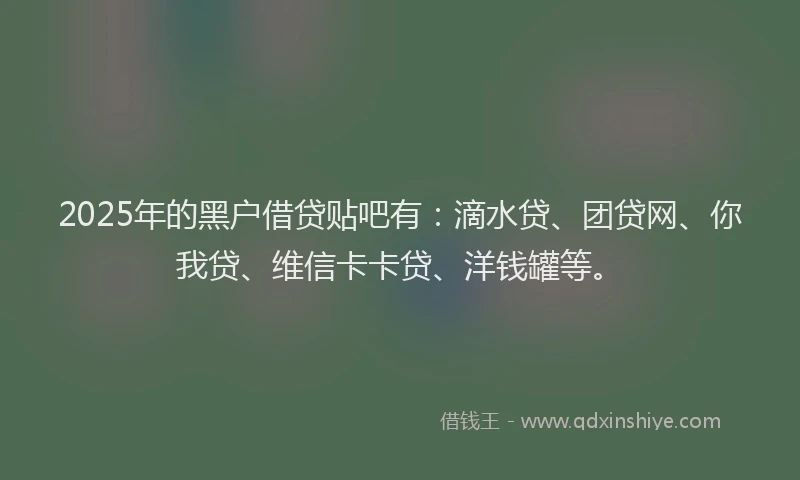 2025年的黑户借贷贴吧有：滴水贷、团贷网、你我贷、维信卡卡贷、洋钱罐等。