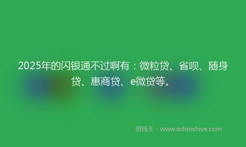 2025年的闪银通不过啊有：微粒贷、省呗、随身贷、惠商贷、e微贷等。