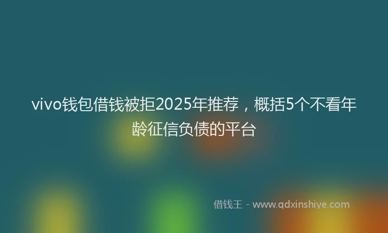 vivo钱包借钱被拒2025年推荐，概括5个不看年龄征信负债的平台