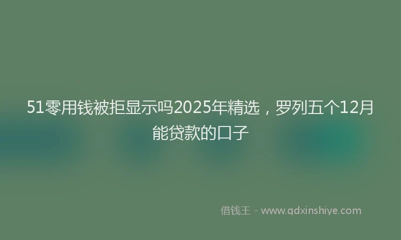 51零用钱被拒显示吗2025年精选，罗列五个12月能贷款的口子
