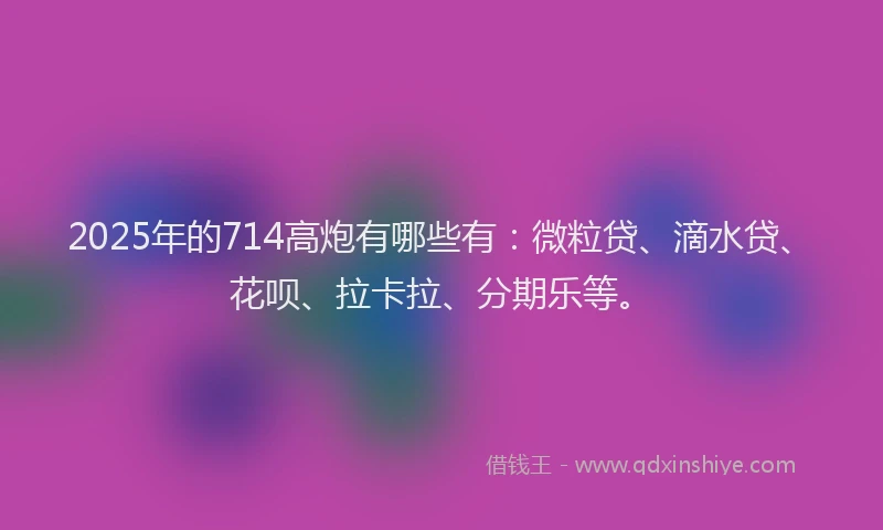 2025年的714高炮有哪些有：微粒贷、滴水贷、花呗、拉卡拉、分期乐等。