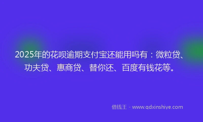 2025年的花呗逾期支付宝还能用吗有：微粒贷、功夫贷、惠商贷、替你还、百度有钱花等。
