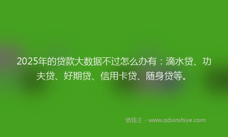 2025年的贷款大数据不过怎么办有：滴水贷、功夫贷、好期贷、信用卡贷、随身贷等。
