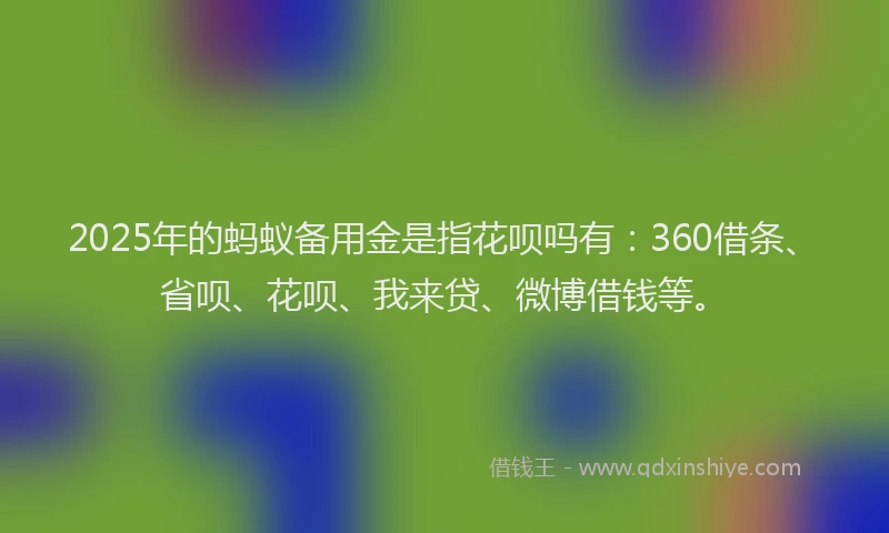 2025年的蚂蚁备用金是指花呗吗有：360借条、省呗、花呗、我来贷、微博借钱等。