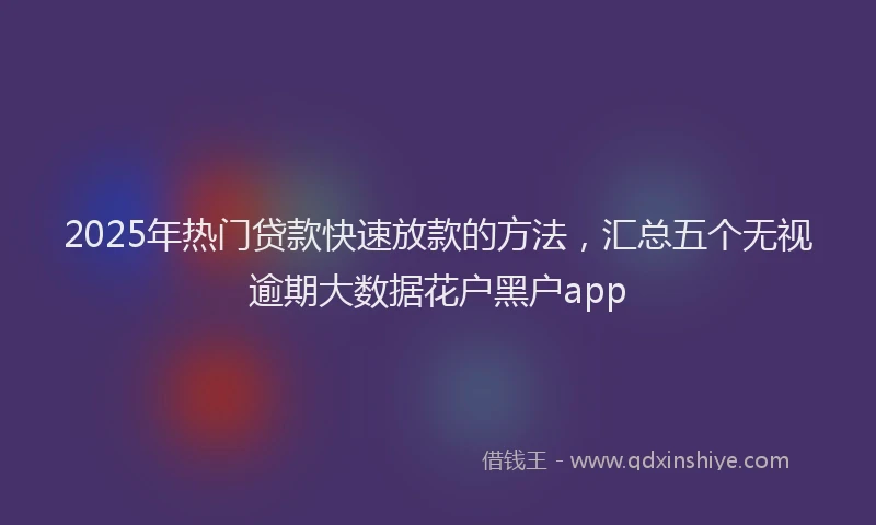 2025年热门贷款快速放款的方法，汇总五个无视逾期大数据花户黑户app