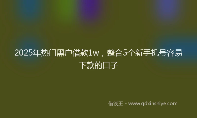 2025年热门黑户借款1w，整合5个新手机号容易下款的口子