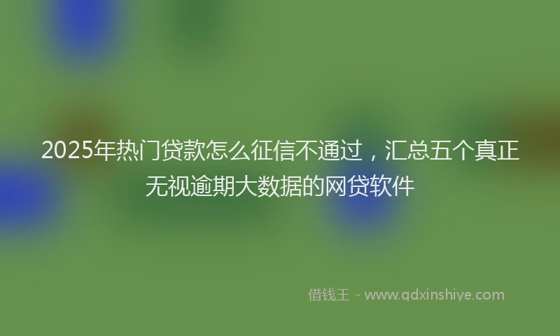 2025年热门贷款怎么征信不通过，汇总五个真正无视逾期大数据的网贷软件