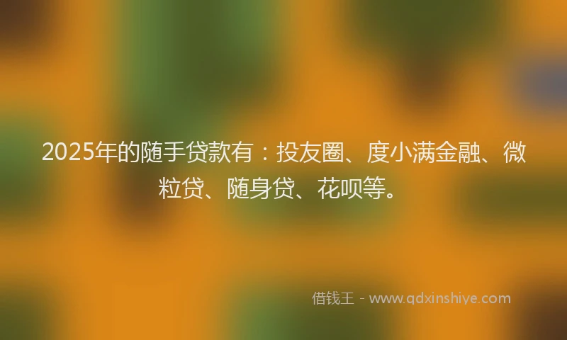 2025年的随手贷款有：投友圈、度小满金融、微粒贷、随身贷、花呗等。