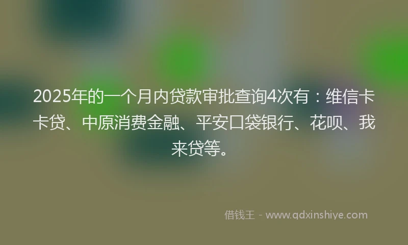 2025年的一个月内贷款审批查询4次有：维信卡卡贷、中原消费金融、平安口袋银行、花呗、我来贷等。