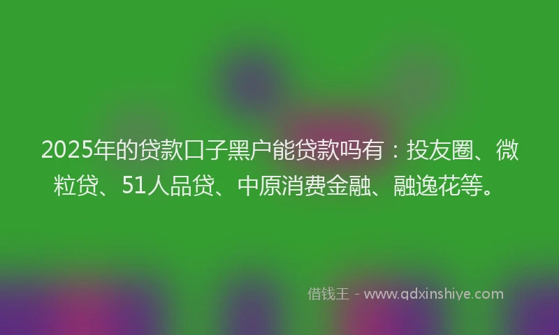 2025年的贷款口子黑户能贷款吗有：投友圈、微粒贷、51人品贷、中原消费金融、融逸花等。
