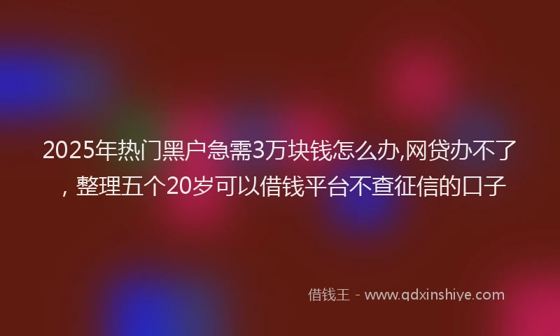 2025年热门黑户急需3万块钱怎么办,网贷办不了，整理五个20岁可以借钱平台不查征信的口子