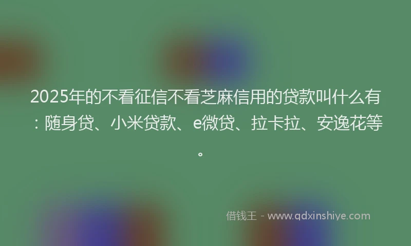 2025年的不看征信不看芝麻信用的贷款叫什么有：随身贷、小米贷款、e微贷、拉卡拉、安逸花等。