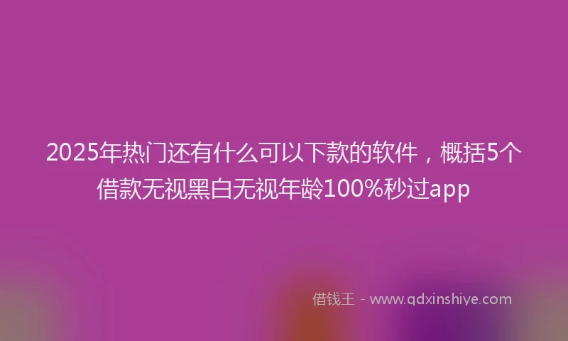 2025年热门还有什么可以下款的软件，概括5个借款无视黑白无视年龄100%秒过app