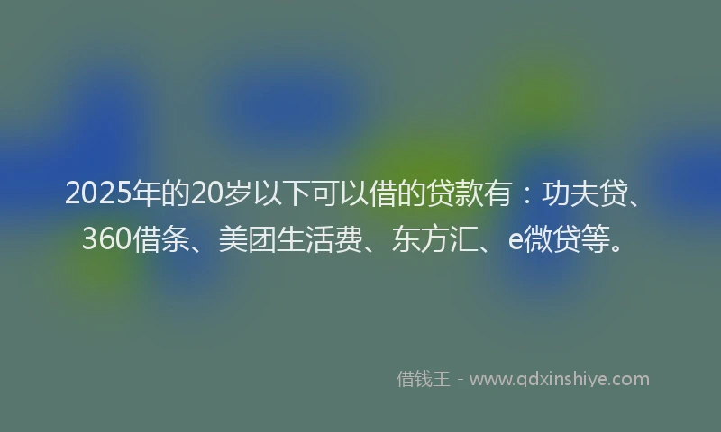 2025年的20岁以下可以借的贷款有：功夫贷、360借条、美团生活费、东方汇、e微贷等。